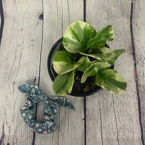 Blue Floral Bow Scrunchie